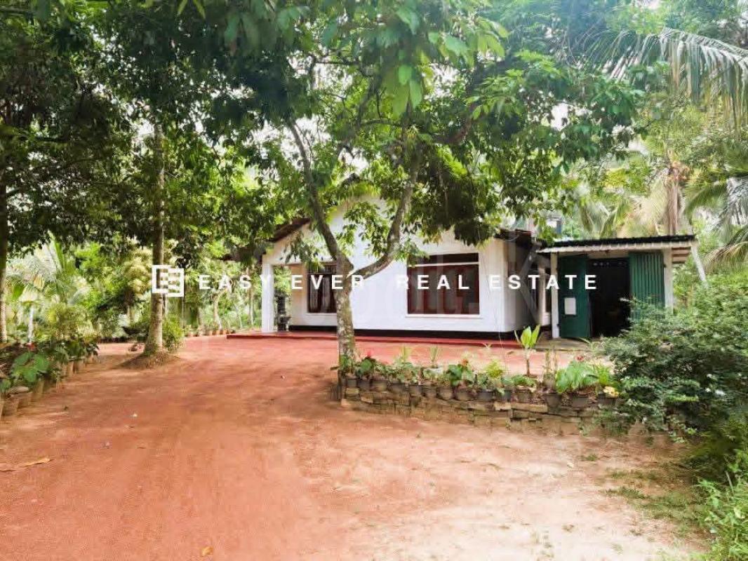 Residential Land for Sale in Gampaha