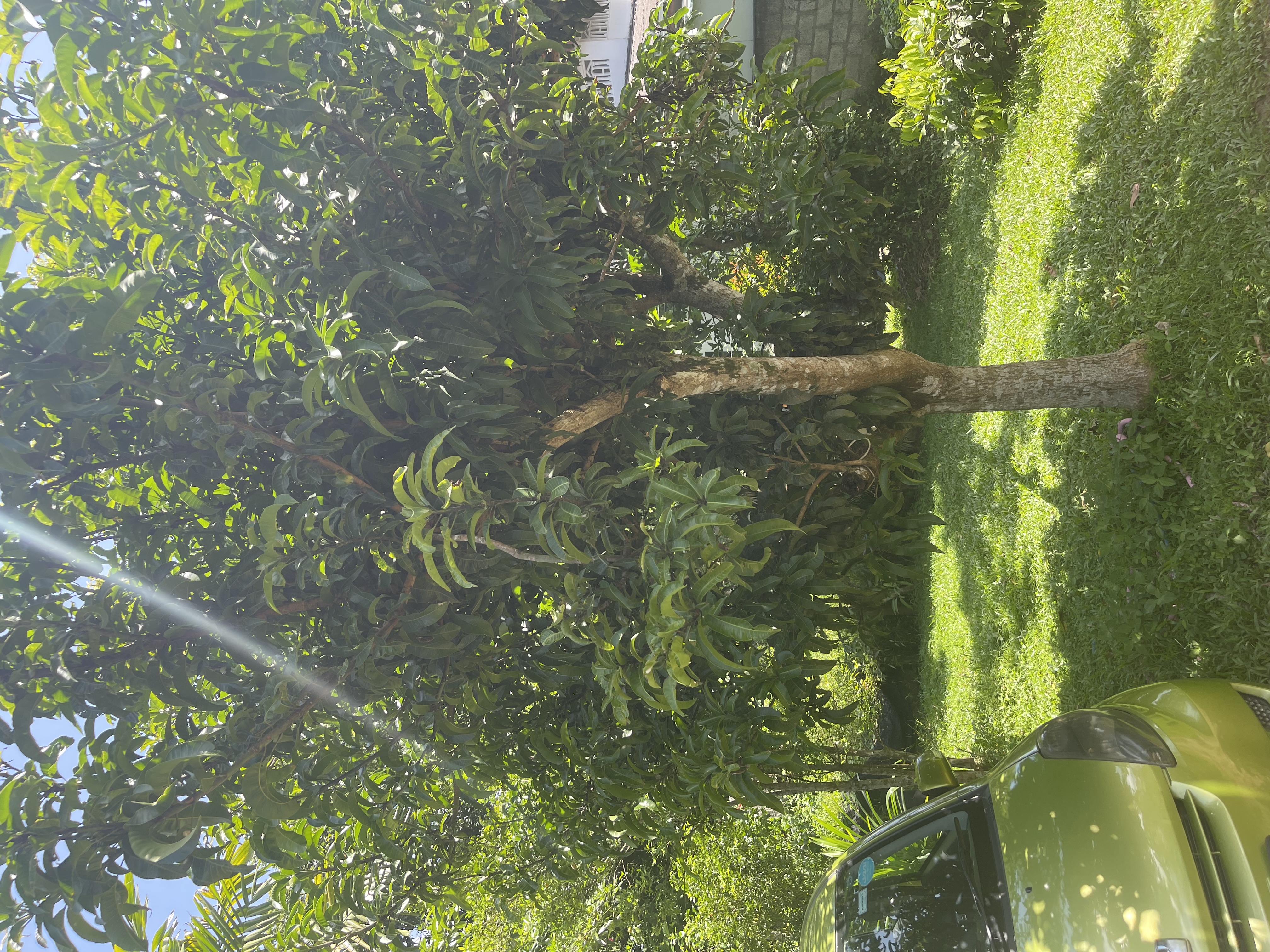 Residential Land for Sale in Athurugiriya
