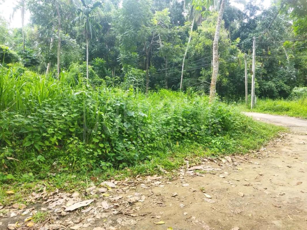 Commercial Land for Sale in Gampola