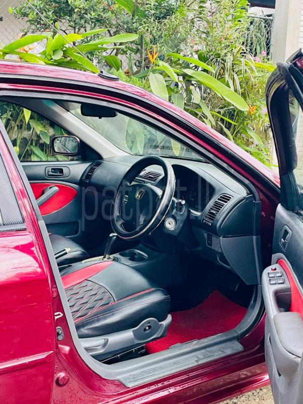 Advertisement image 6