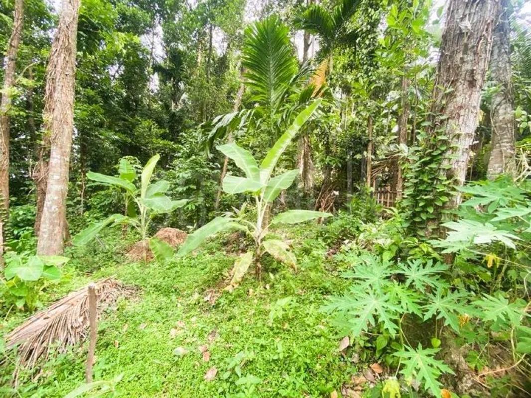 Commercial Land for Sale in Nittambuwa ads-image-1