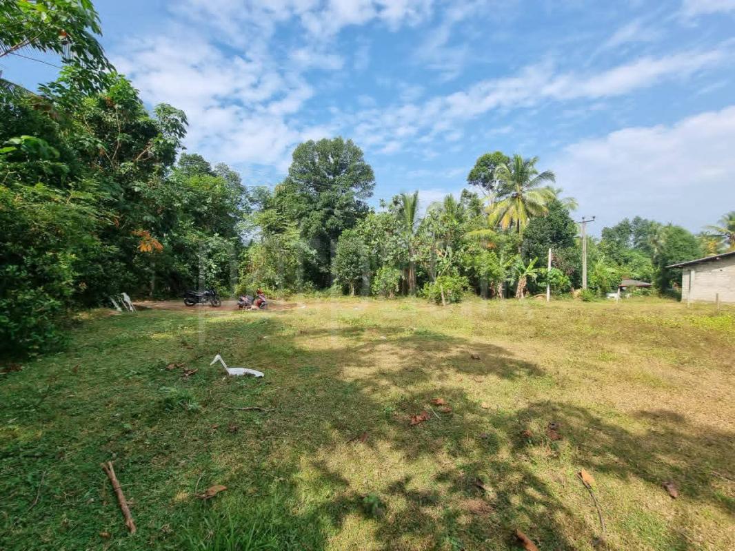 Residential Land for Sale in Nittambuwa