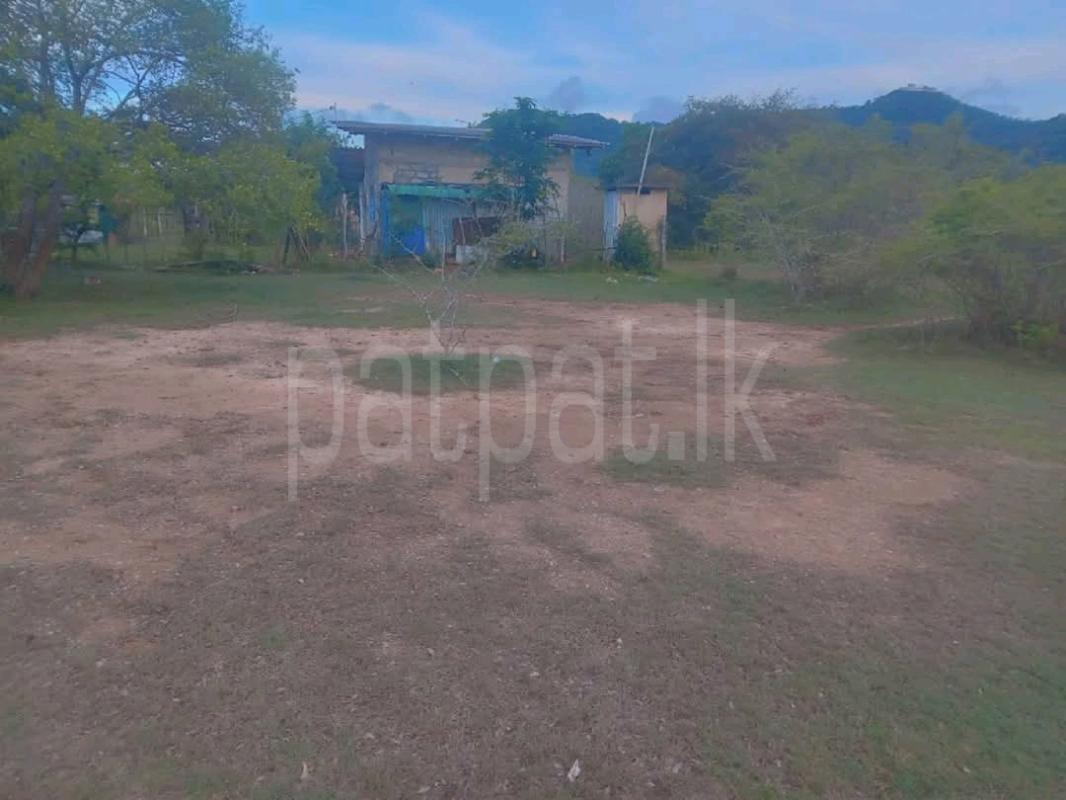 Agricultural Land for Sale in Avissawella