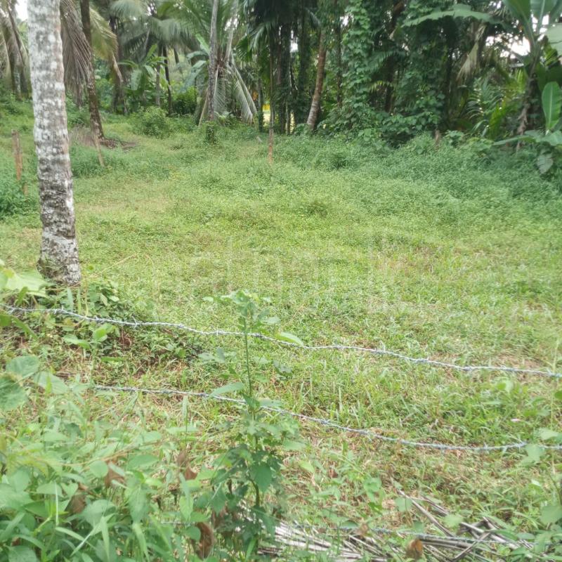 Residential Land for Sale in Homagama