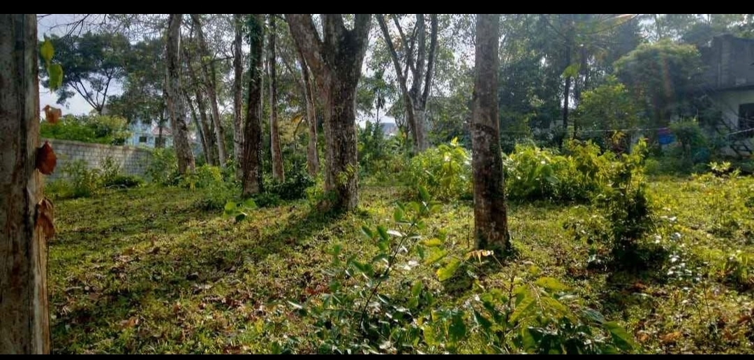 Residential Land for Sale in Kottawa