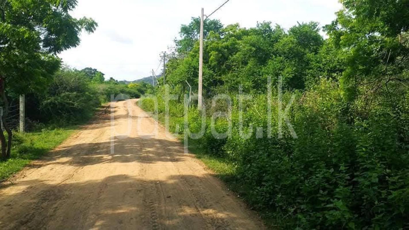 Residential Land for Sale in Kataragama