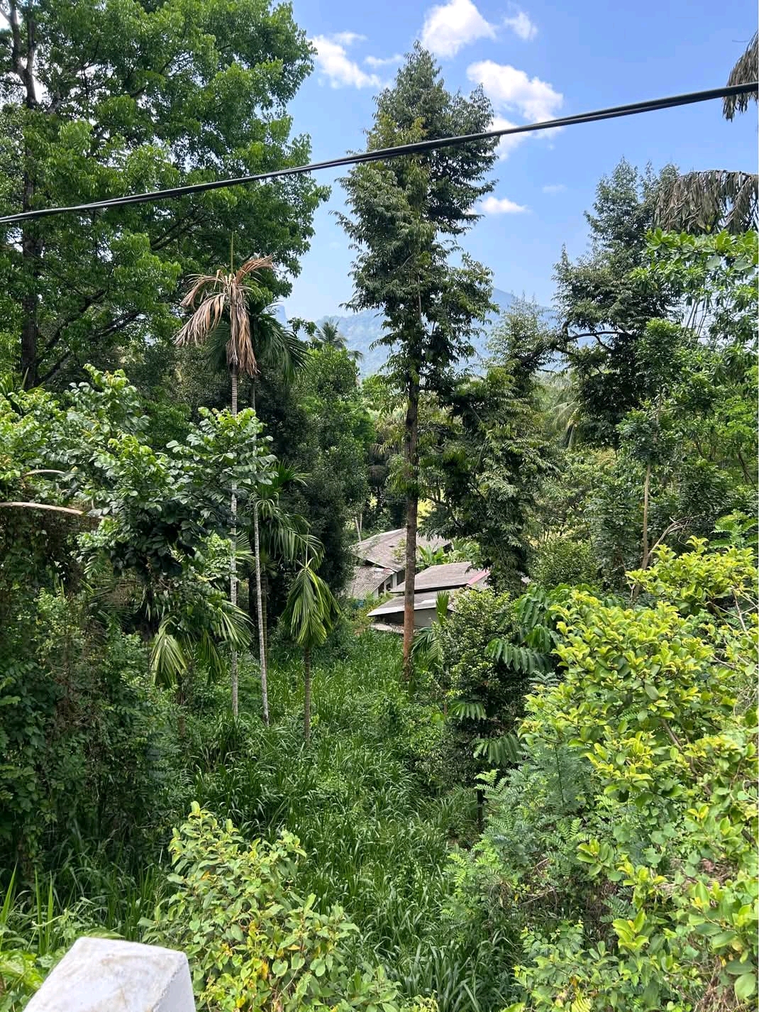 Residential Land for Sale in Matale ads-image-1