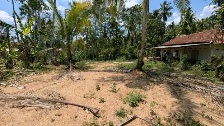 Commercial Land for Sale in Yakkala ads-image-1