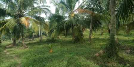 Residential Land for Sale in Kurunegala ads-image-1