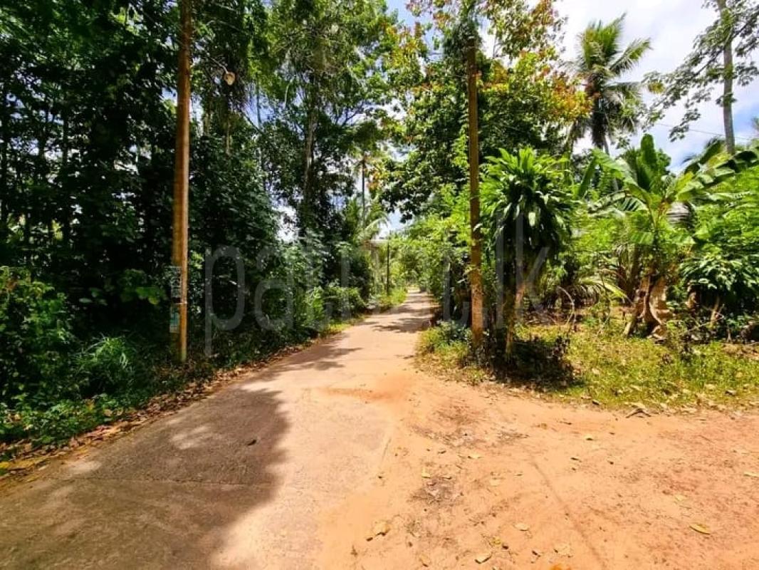 Advertisement image 3