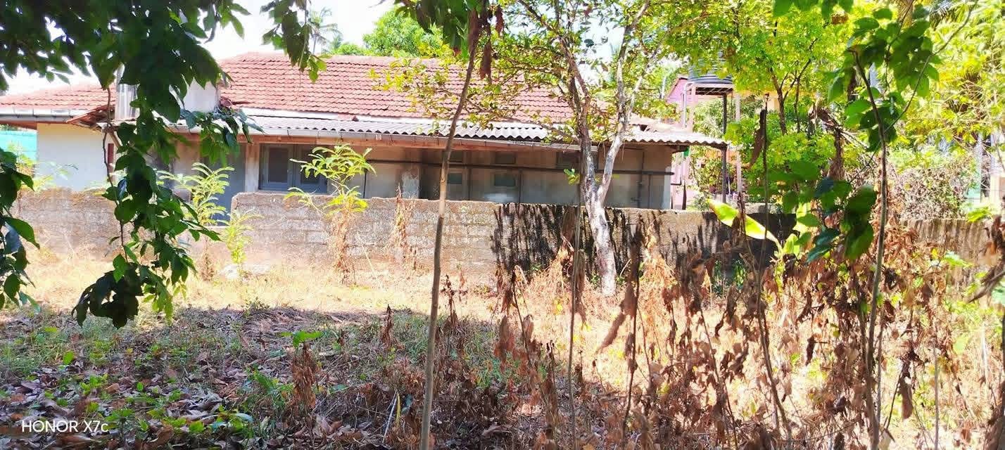 Agricultural Land for Sale in Panadura