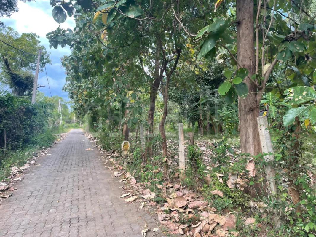 Commercial Land for Sale in Kataragama