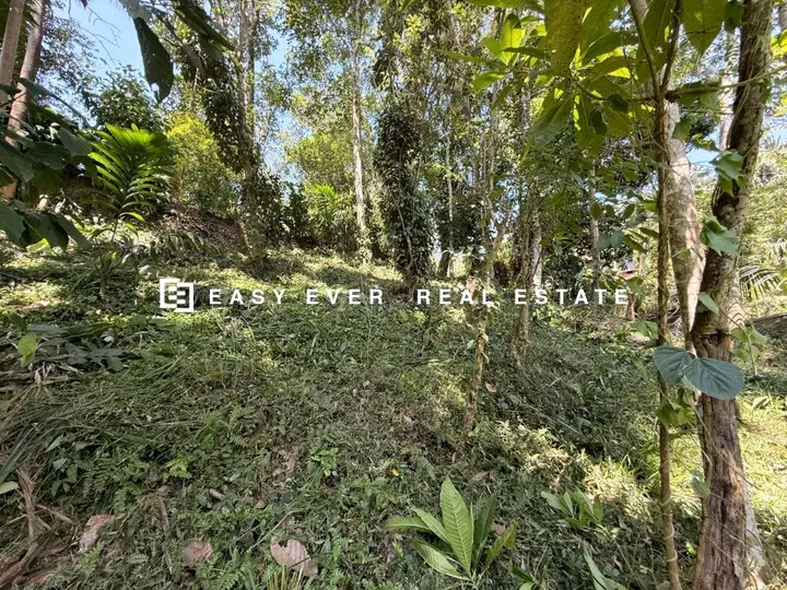 Commercial Land for Sale in Minuwangoda