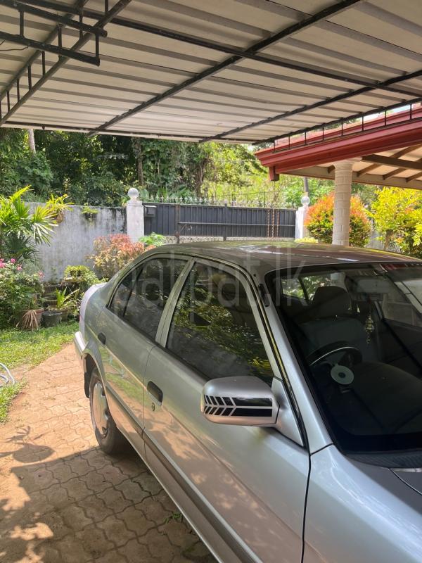 Advertisement image 3