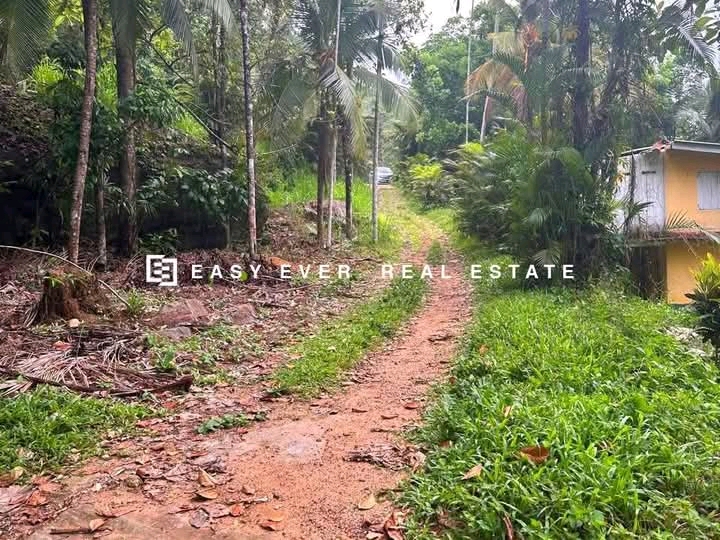 Commercial Land for Sale in Nittambuwa
