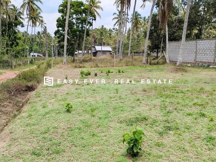 Commercial Land for Sale in Negombo