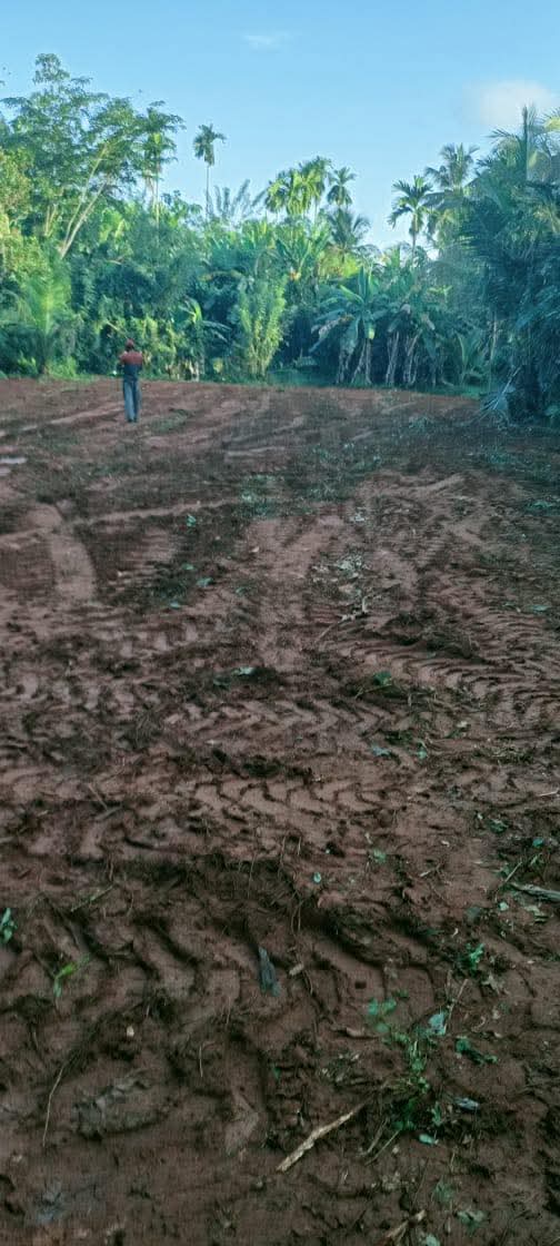 Commercial Land for Sale in Bandaragama