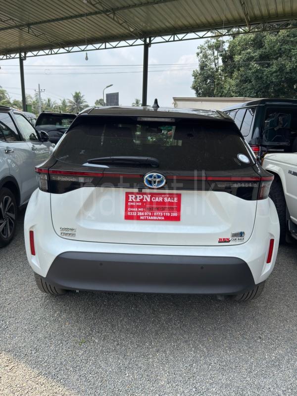 Advertisement image 2