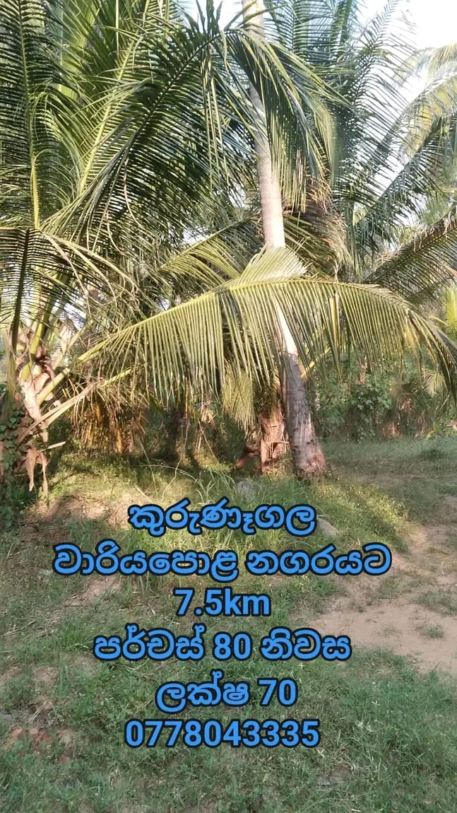 Commercial Land for Sale in Wariyapola ads-image-1