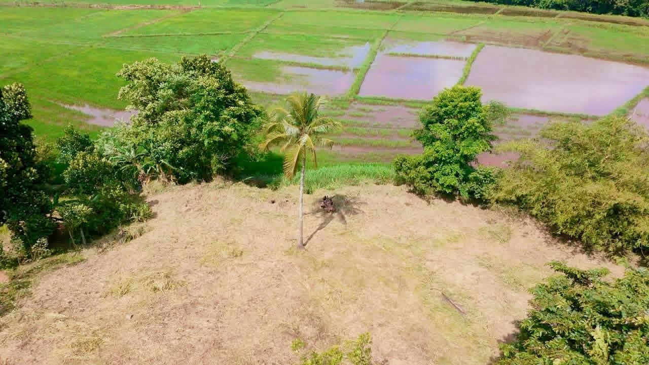 Residential Land for Sale in Pallewela