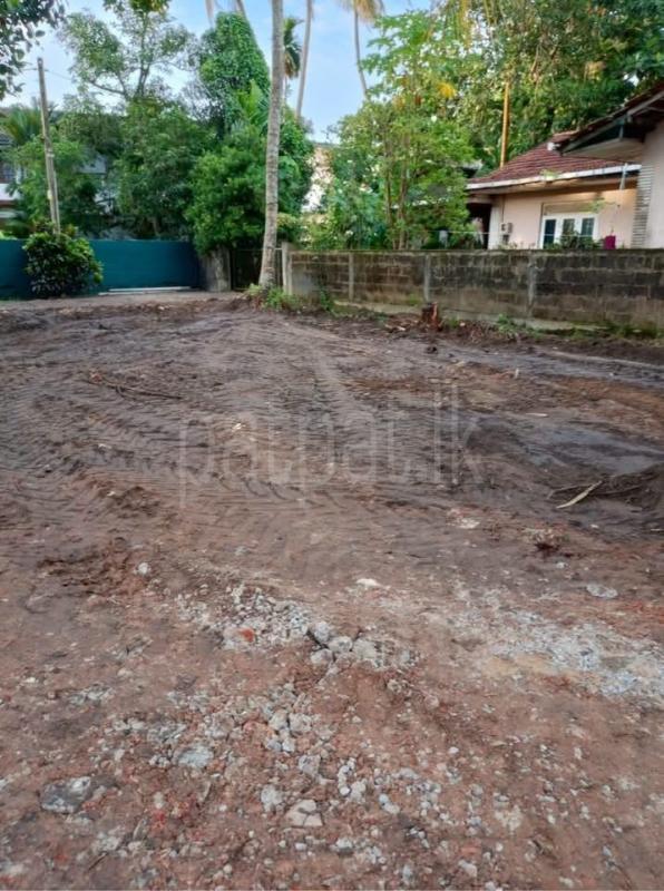 Agricultural Land for Sale in Panadura