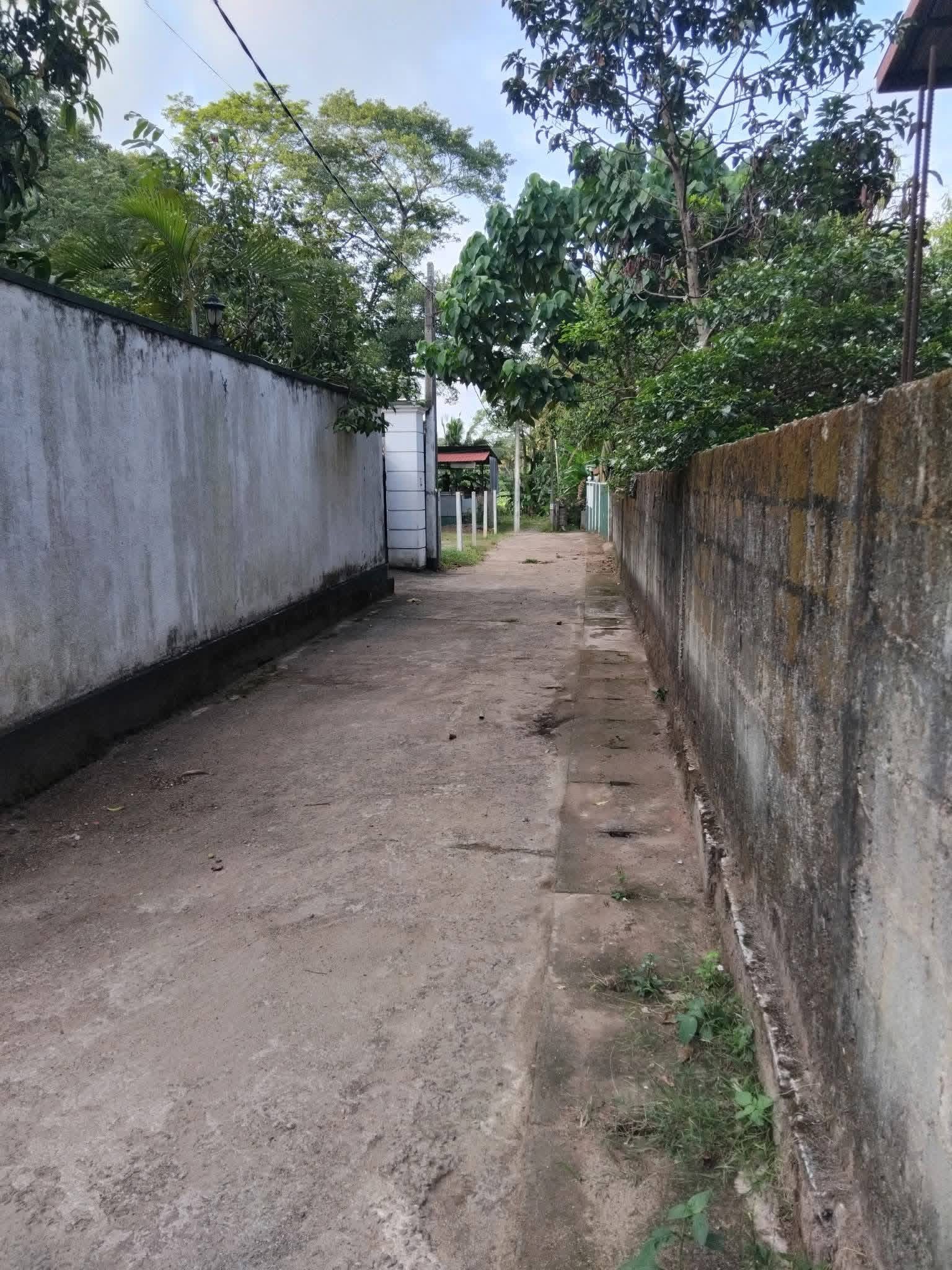 Commercial Land for Sale in Makola