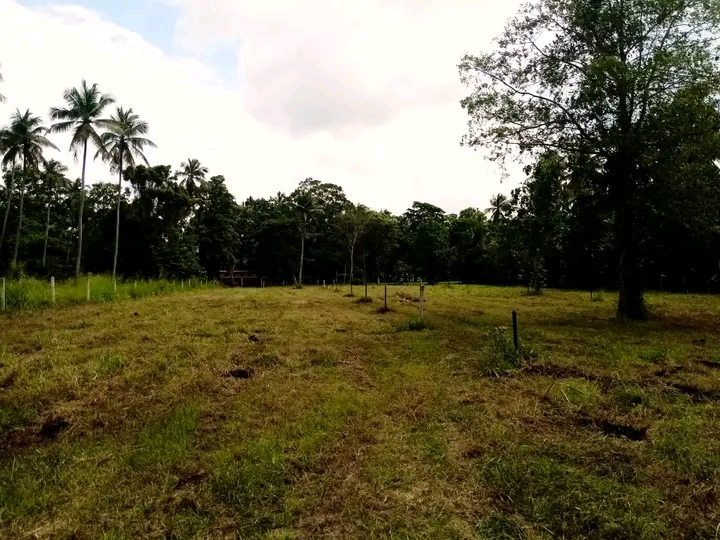 Commercial Land for Sale in Wariyapola ads-image-1