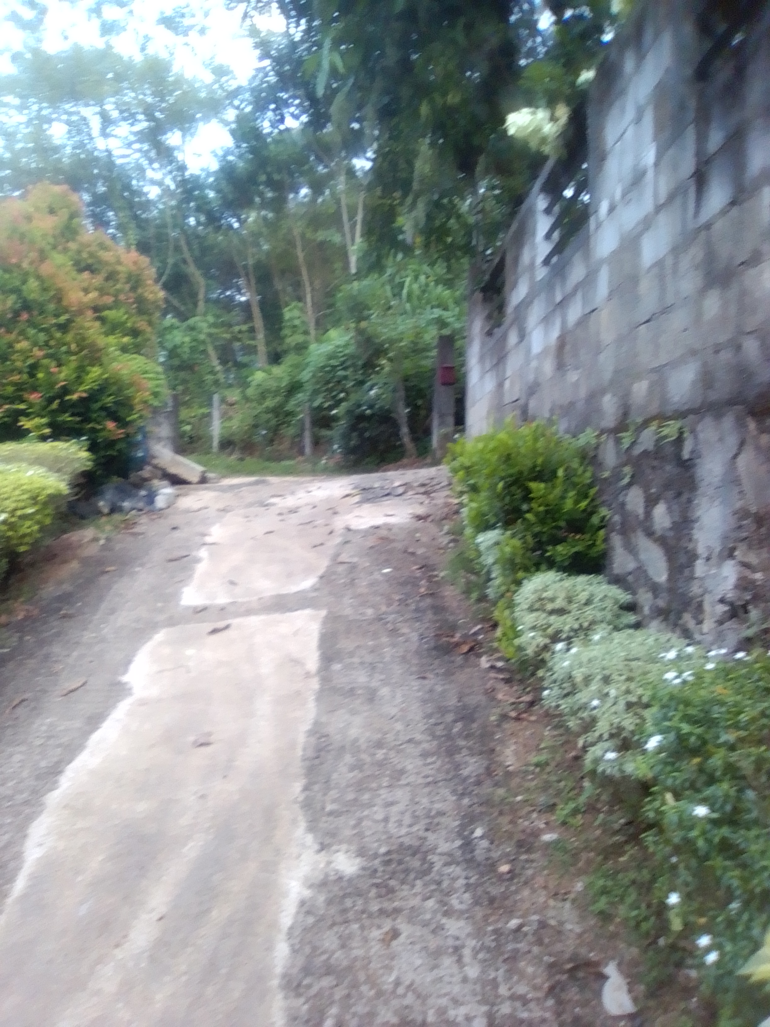  Land for Sale in Ruwanwella