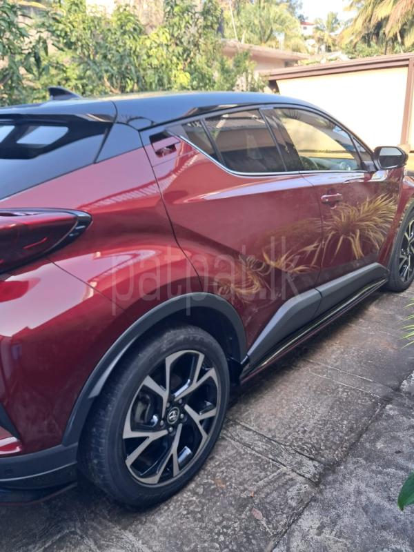 Advertisement image 5