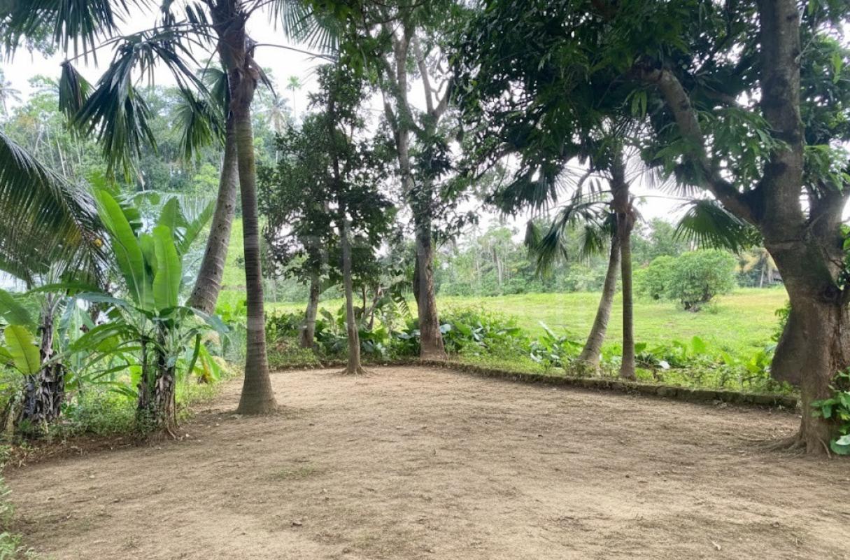 Agricultural Land for Sale in Piliyandala ads-image-1