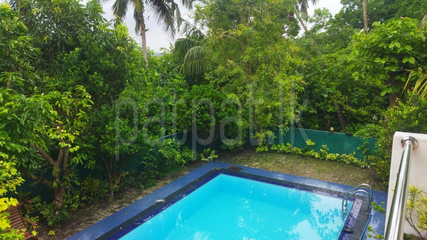 House for Rent in Benthara