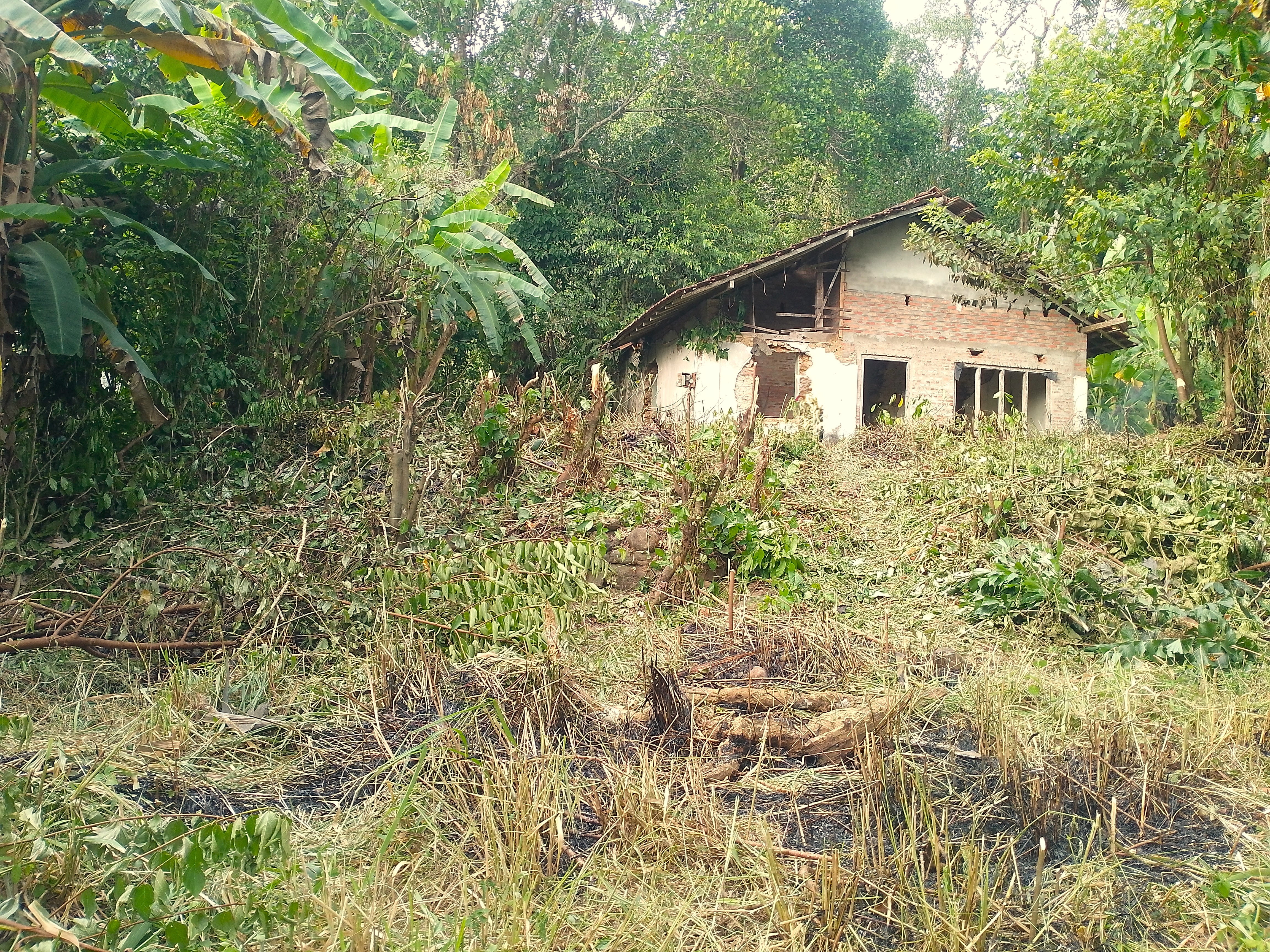 Residential Land for Sale in Wanchawela