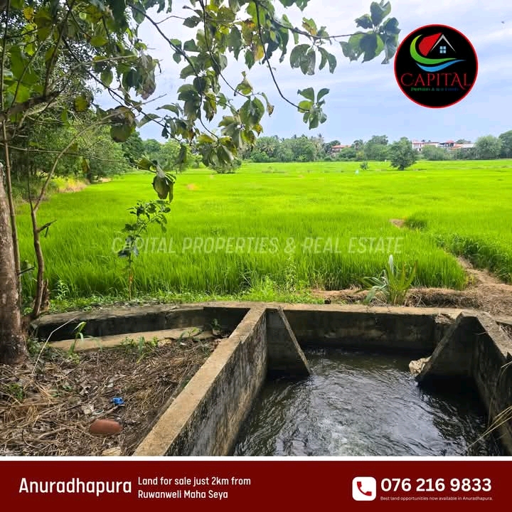 Commercial Land for Sale in Anuradhapura