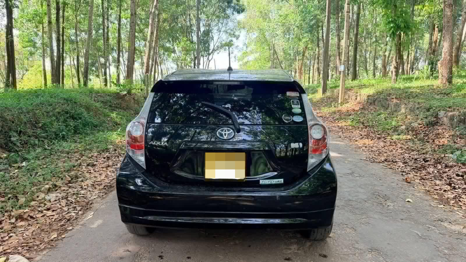 Advertisement image 2