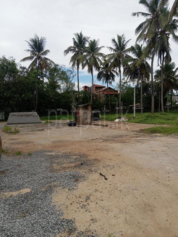 Commercial Land for Rent in Wattala