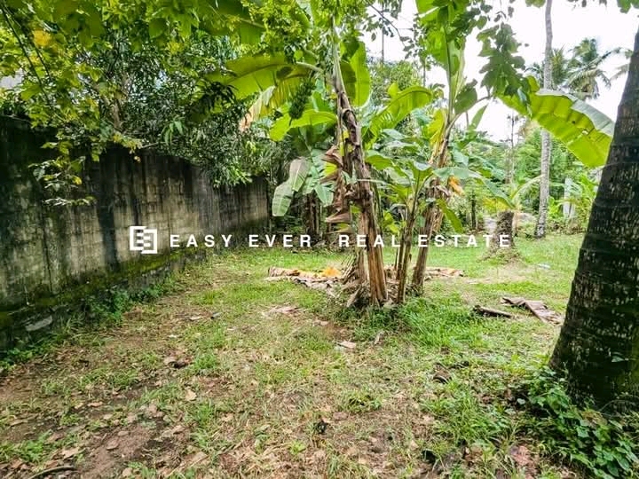 Commercial Land for Sale in Ja-Ela