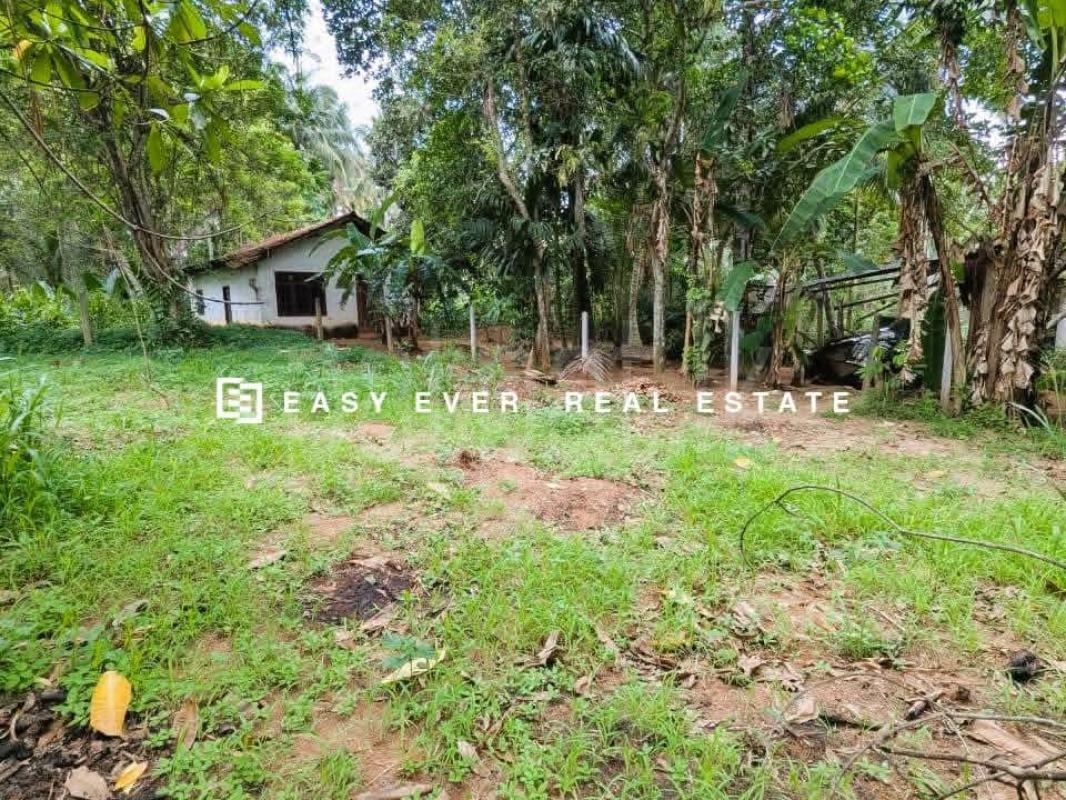Residential Land for Sale in Veyangoda