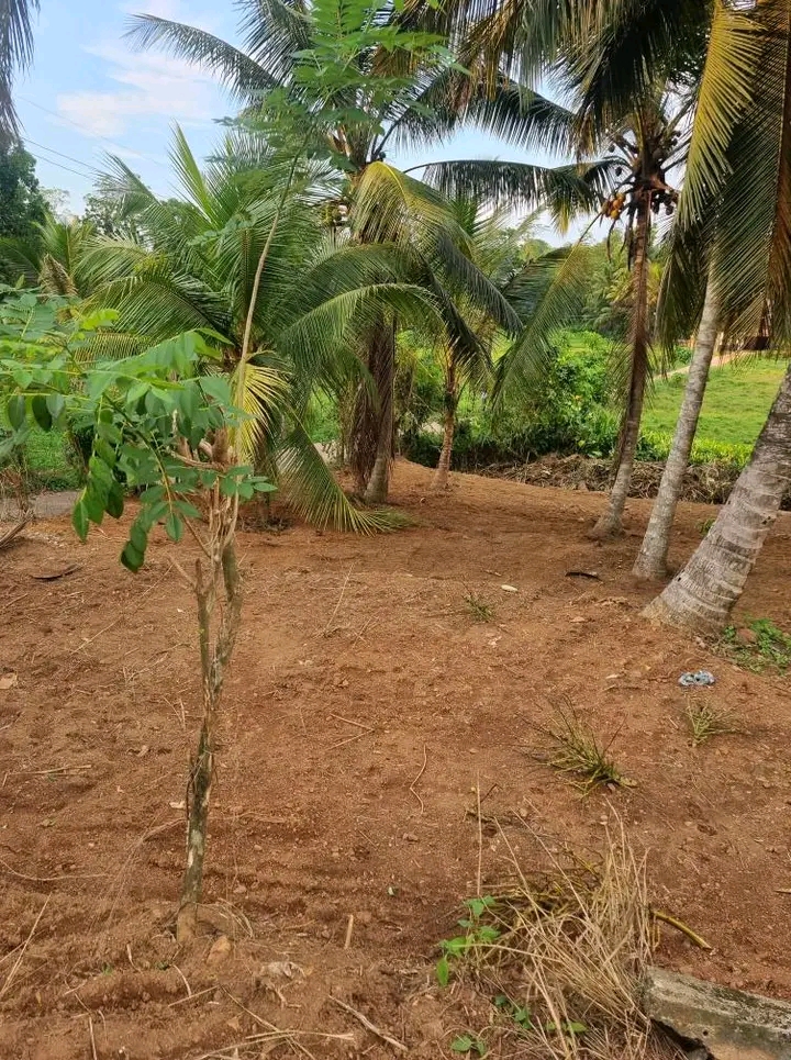 Commercial Land for Sale in Kirindiwela