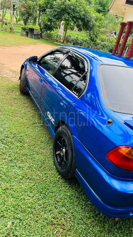 Advertisement image 4