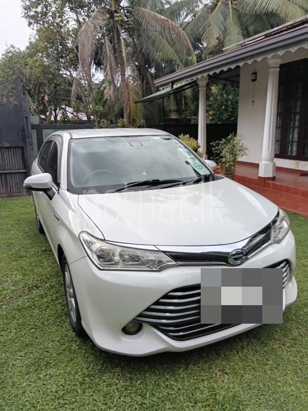 Advertisement image 2