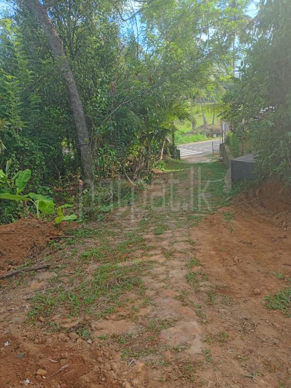 Residential Land for Sale in Hakmana