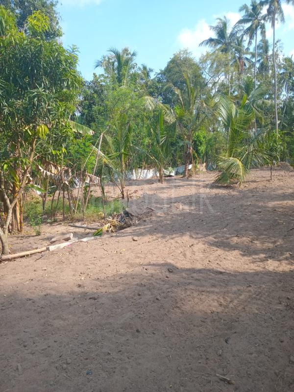 Residential Land for Sale in Nattandiya