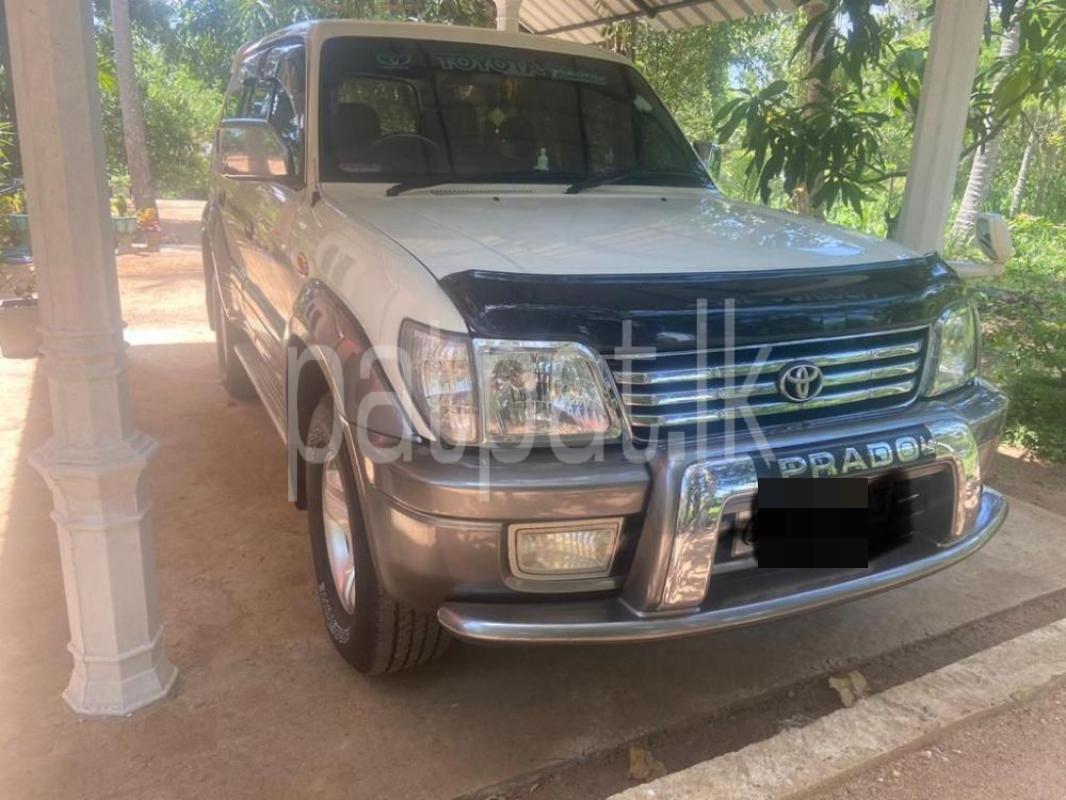 Advertisement image 1