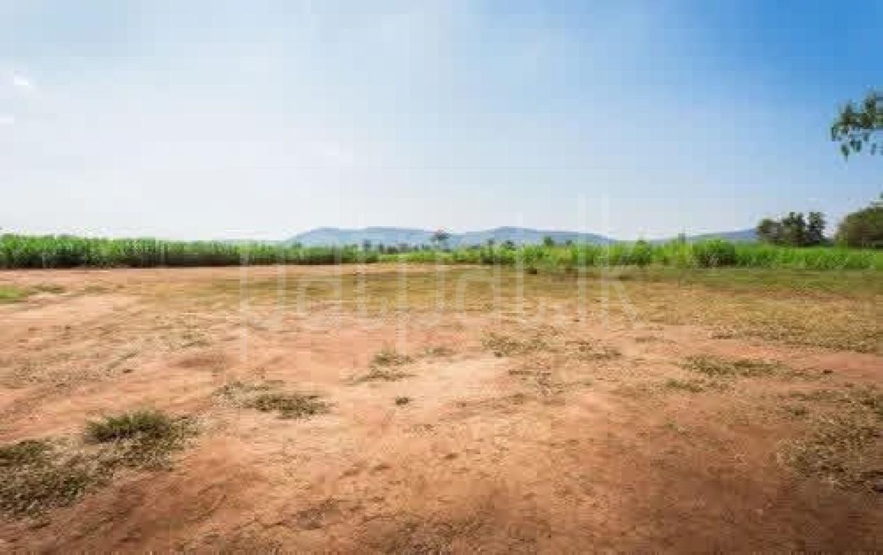 Residential Land for Sale in Mahiyanganaya