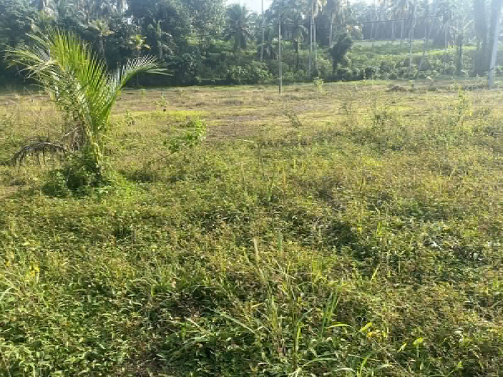 Residential Land for Sale in Kadawatha