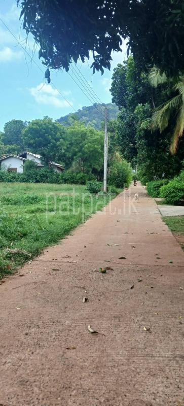 Residential Land for Sale in Kataragama