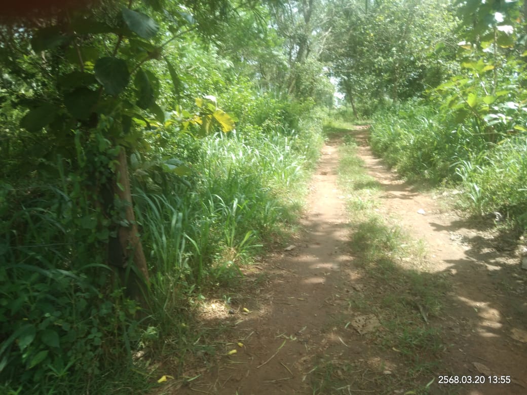 Agricultural Land for Sale in Lunugamwehera