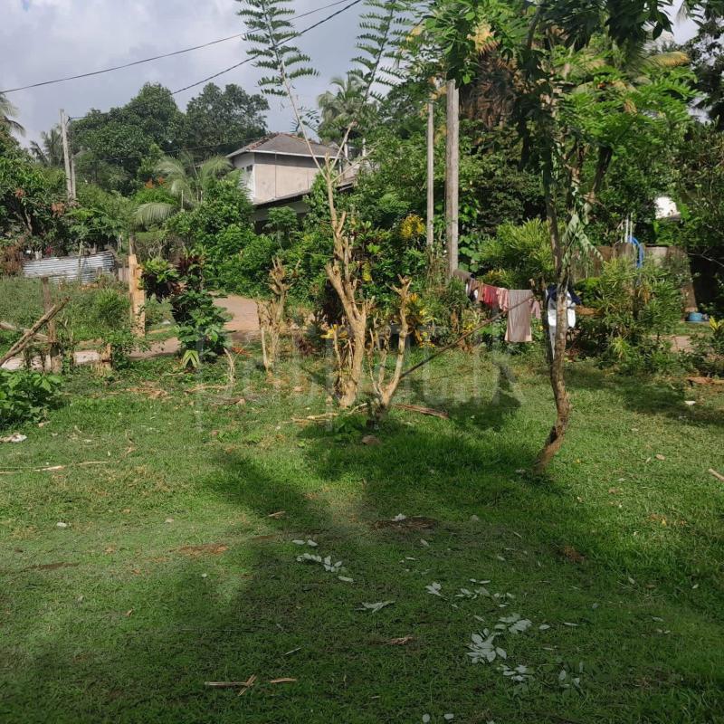 Residential Land for Sale in Kaduwela ads-image-1