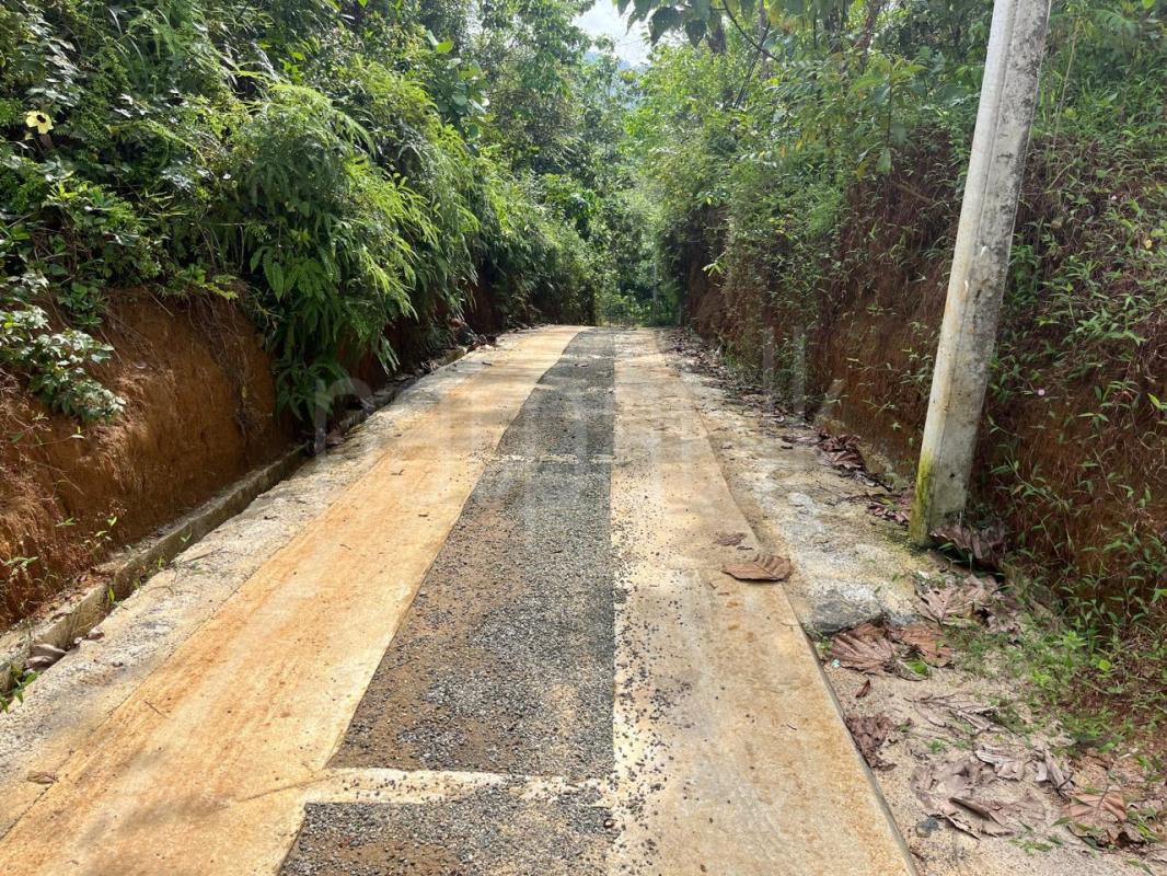 Agricultural Land for Sale in Handapangoda