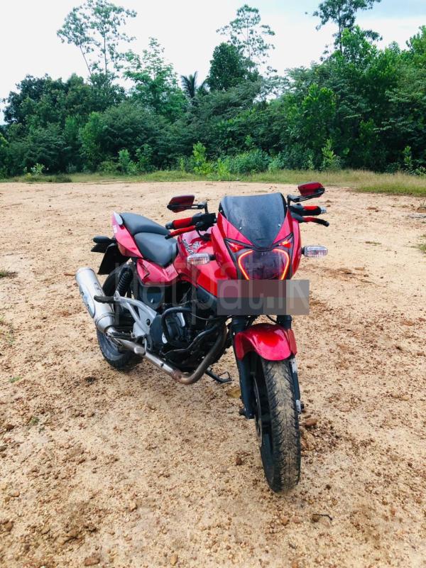 Bajaj Pulsar 2009 - Used Bike sale in Sri Lanka - patpat.lk